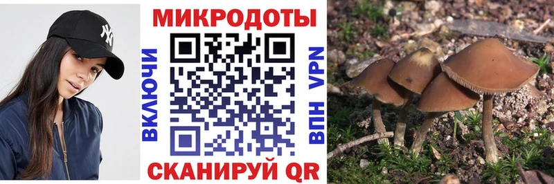 Псилоцибиновые грибы MAGIC MUSHROOMS  наркота  Галич 